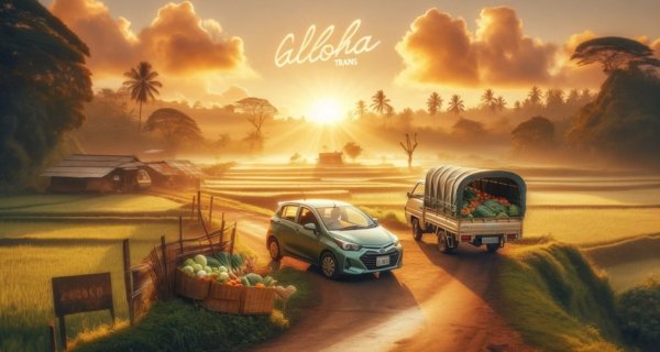 Travel Boja Batu Charter Boja Batu Paket Kilat Boja Batu